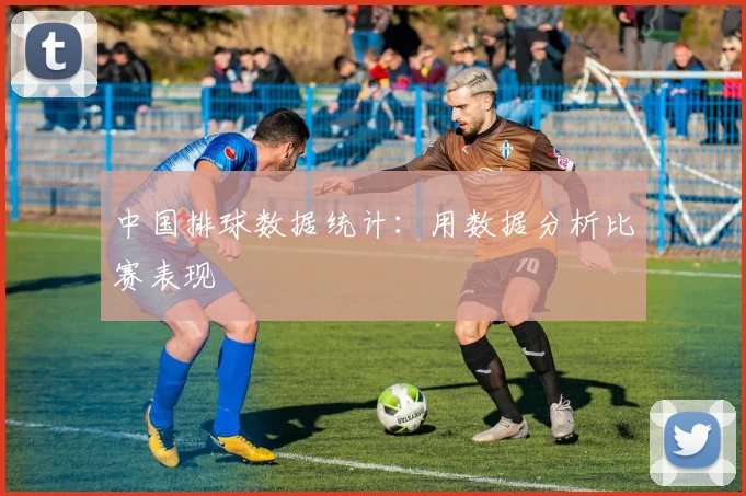 中国排球数据统计:用数据分析比赛表现